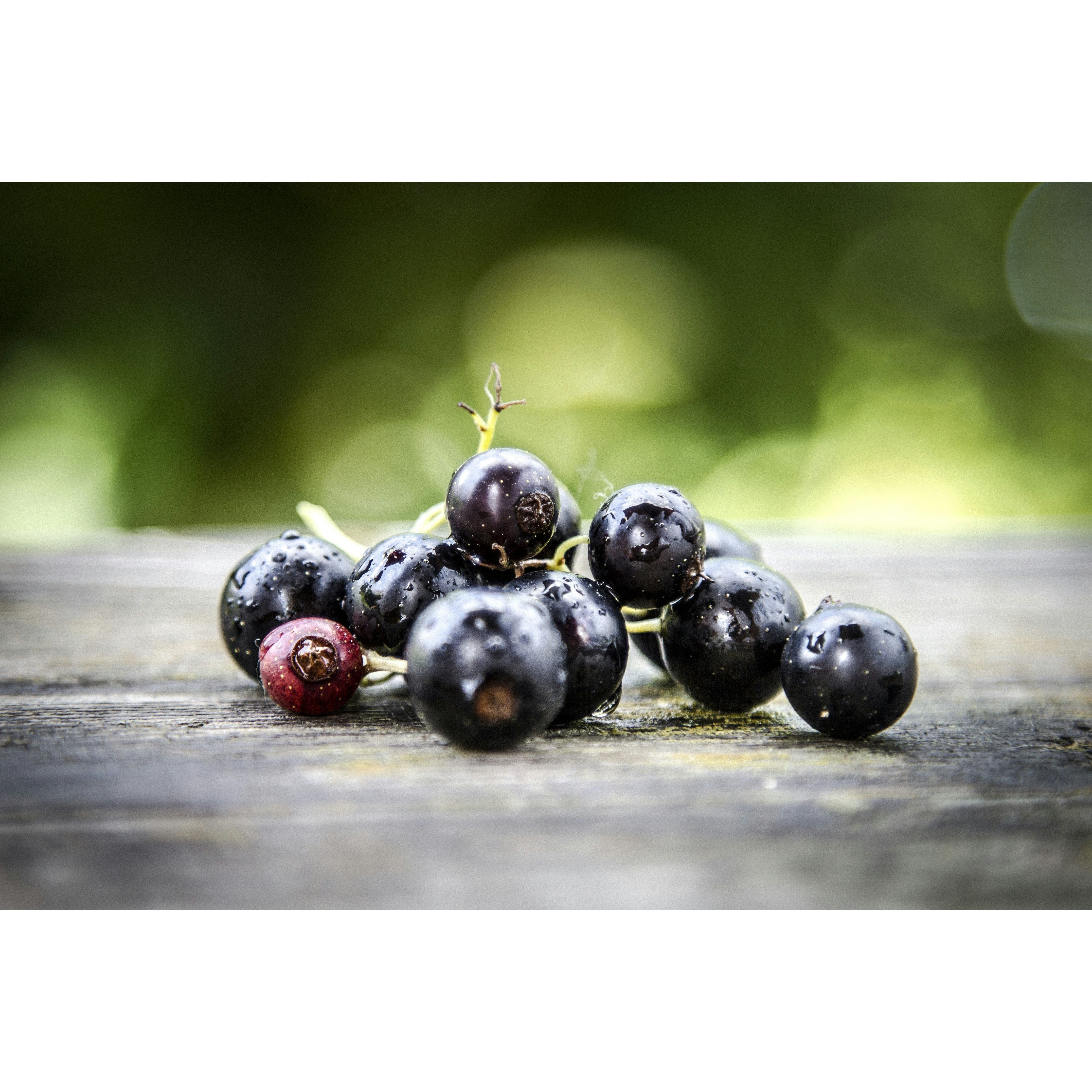 Dr. C. Soldan Em-eukal Currant Sugar-Free Lozenges - Image 2