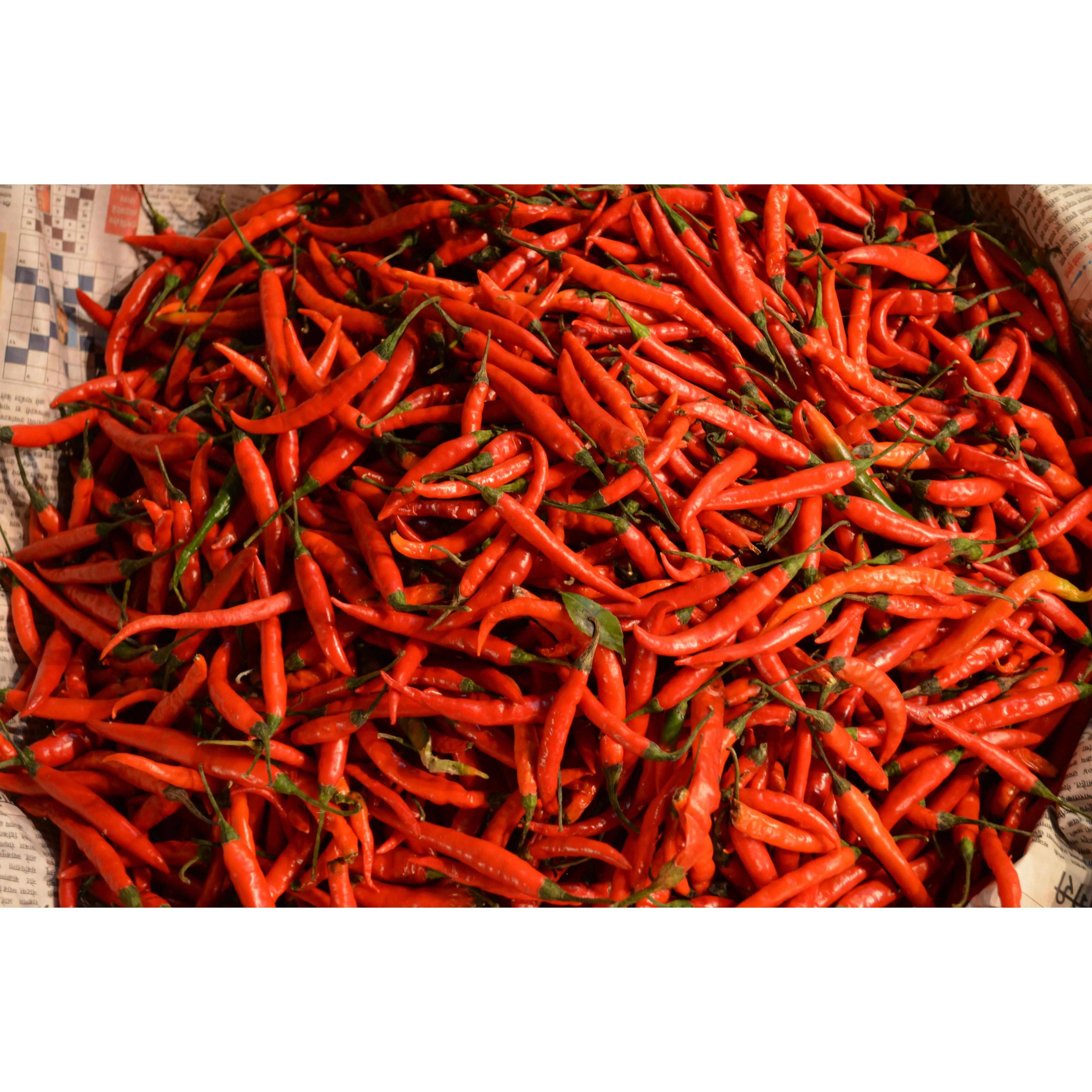 Szeged Hungarian Paprika Hot - Image 2